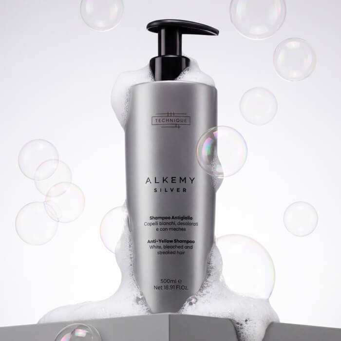 Technique Alkemy Silver